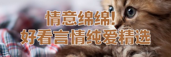 情意绵绵！好看言情纯爱精选